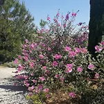 Pensjonat D'hotes De Molines