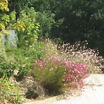D'hotes De Molines