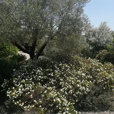 D'hotes De Molines Vogüé