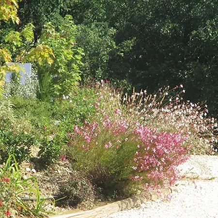 D'hotes De Molines