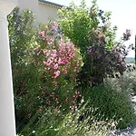 D'hotes De Molines Πανσιόν