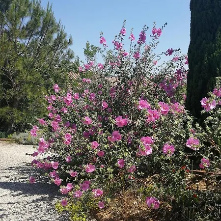 Guest house D'hotes De Molines