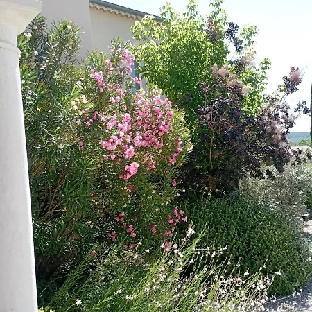D'hotes De Molines Guest house