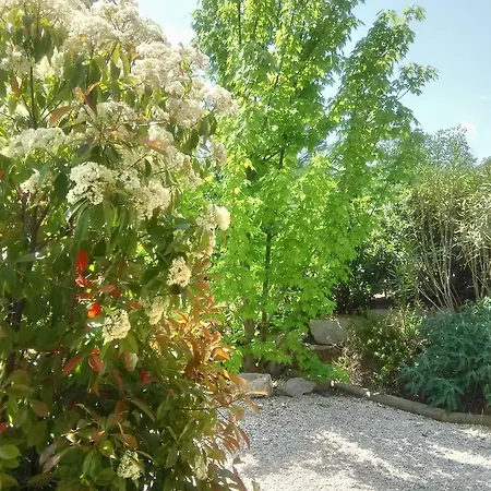 Guest house D'hotes De Molines